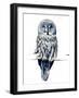 The Great Grey Owl on White, 2019, (Pen and Ink)-Mike Davis-Framed Giclee Print