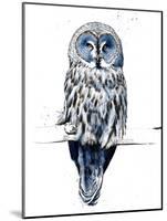The Great Grey Owl on White, 2019, (Pen and Ink)-Mike Davis-Mounted Giclee Print