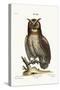 The Great Horned Owl, 1749-73-George Edwards-Stretched Canvas