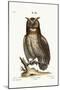 The Great Horned Owl, 1749-73-George Edwards-Mounted Giclee Print