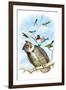 The Great Horned Owl-Theodore Jasper-Framed Art Print