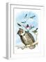 The Great Horned Owl-Theodore Jasper-Framed Art Print