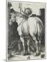 The Great Horse, 1505-Albrecht Dürer-Mounted Giclee Print