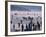 The Great Ice Fair, Lillehammer, Norway, Scandinavia-Adam Woolfitt-Framed Photographic Print