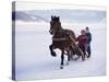 The Great Ice Fair, Lillehammer, Norway, Scandinavia-Adam Woolfitt-Stretched Canvas