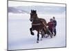The Great Ice Fair, Lillehammer, Norway, Scandinavia-Adam Woolfitt-Mounted Photographic Print
