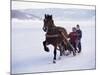 The Great Ice Fair, Lillehammer, Norway, Scandinavia-Adam Woolfitt-Mounted Photographic Print