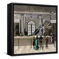 The Great Iguanodon Skeleton at the Brussels Museum, 1880s-null-Framed Stretched Canvas