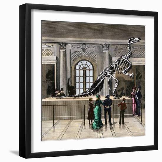 The Great Iguanodon Skeleton at the Brussels Museum, 1880s-null-Framed Giclee Print