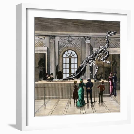 The Great Iguanodon Skeleton at the Brussels Museum, 1880s-null-Framed Giclee Print