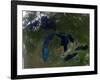 The Great Lakes-Stocktrek Images-Framed Photographic Print
