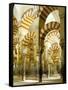 The Great Mosque, Unesco World Heritage Site, Cordoba, Andalucia (Andalusia), Spain-Adam Woolfitt-Framed Stretched Canvas