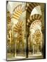 The Great Mosque, Unesco World Heritage Site, Cordoba, Andalucia (Andalusia), Spain-Adam Woolfitt-Mounted Photographic Print