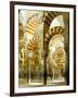 The Great Mosque, Unesco World Heritage Site, Cordoba, Andalucia (Andalusia), Spain-Adam Woolfitt-Framed Photographic Print