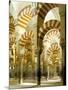 The Great Mosque, Unesco World Heritage Site, Cordoba, Andalucia (Andalusia), Spain-Adam Woolfitt-Mounted Photographic Print