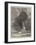 The Great Orchid at St Albans-null-Framed Giclee Print