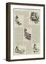 The Great Pearl Mystery-William Douglas Almond-Framed Giclee Print