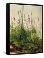 The Great Piece of Turf, 1503-Albrecht Drer-Framed Stretched Canvas