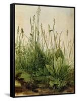 The Great Piece of Turf, 1503-Albrecht Drer-Framed Stretched Canvas