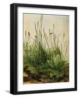 The Great Piece of Turf, 1503-Albrecht Drer-Framed Premium Giclee Print