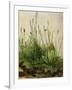 The Great Piece of Turf, 1503-Albrecht Drer-Framed Premium Giclee Print