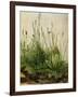 The Great Piece of Turf, 1503-Albrecht Drer-Framed Premium Giclee Print