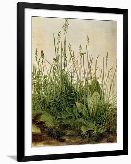 The Great Piece of Turf, 1503-Albrecht Drer-Framed Premium Giclee Print