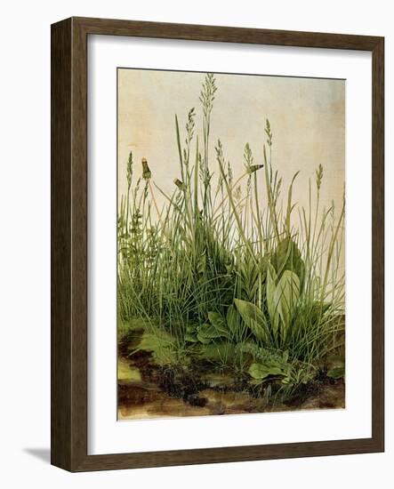 The Great Piece of Turf, 1503-Albrecht Drer-Framed Giclee Print