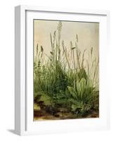 The Great Piece of Turf, 1503-Albrecht Drer-Framed Giclee Print