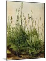 The Great Piece of Turf, 1503-Albrecht Drer-Mounted Giclee Print