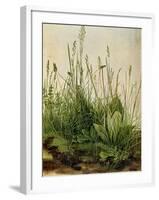 The Great Piece of Turf, 1503-Albrecht Drer-Framed Giclee Print