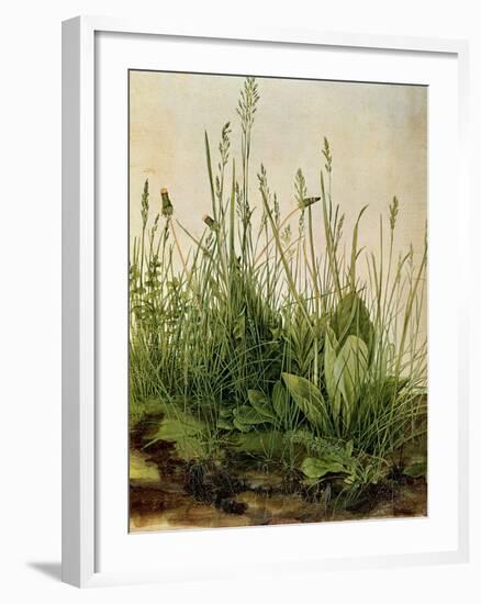 The Great Piece of Turf, 1503-Albrecht Drer-Framed Giclee Print