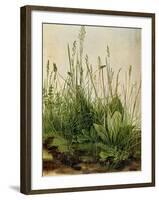 The Great Piece of Turf, 1503-Albrecht Drer-Framed Giclee Print