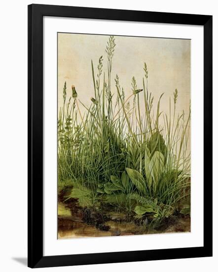 The Great Piece of Turf, 1503-Albrecht Drer-Framed Giclee Print