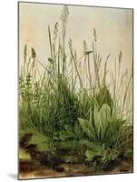 The Great Piece of Turf, 1503-Albrecht Drer-Mounted Giclee Print