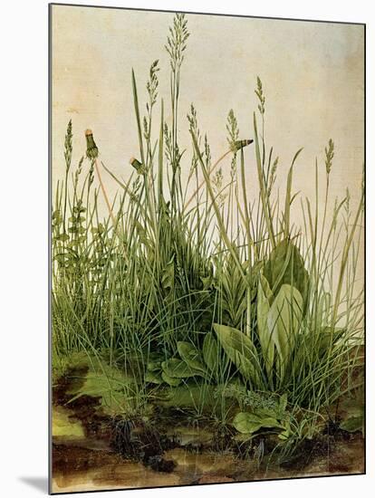 The Great Piece of Turf, 1503-Albrecht Drer-Mounted Giclee Print