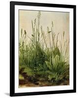 The Great Piece of Turf, 1503-Albrecht Drer-Framed Giclee Print