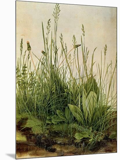 The Great Piece of Turf, 1503-Albrecht Drer-Mounted Giclee Print