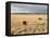 The Great Plains, New Mexico, USA-Occidor Ltd-Framed Stretched Canvas