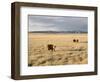 The Great Plains, New Mexico, USA-Occidor Ltd-Framed Photographic Print