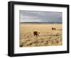 The Great Plains, New Mexico, USA-Occidor Ltd-Framed Photographic Print