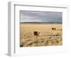 The Great Plains, New Mexico, USA-Occidor Ltd-Framed Photographic Print