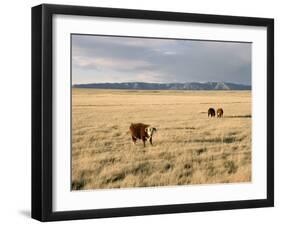 The Great Plains, New Mexico, USA-Occidor Ltd-Framed Photographic Print