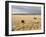 The Great Plains, New Mexico, USA-Occidor Ltd-Framed Photographic Print