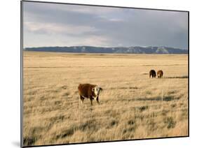 The Great Plains, New Mexico, USA-Occidor Ltd-Mounted Photographic Print