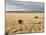 The Great Plains, New Mexico, USA-Occidor Ltd-Mounted Photographic Print