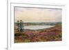 The Great Pond, Frensham-Alfred Robert Quinton-Framed Giclee Print