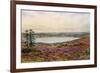 The Great Pond, Frensham-Alfred Robert Quinton-Framed Giclee Print