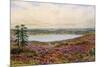 The Great Pond, Frensham-Alfred Robert Quinton-Mounted Giclee Print