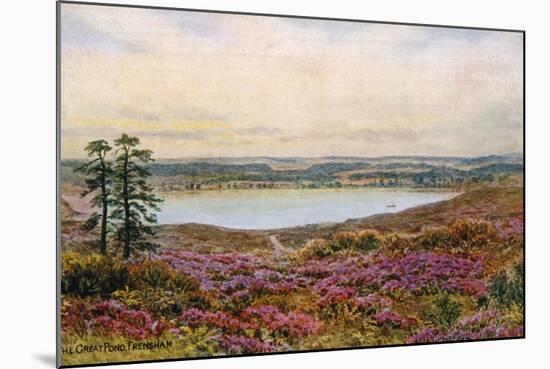 The Great Pond, Frensham-Alfred Robert Quinton-Mounted Giclee Print